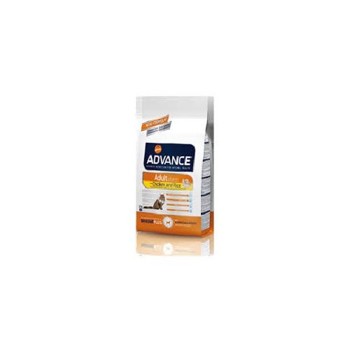 ADVANCE CAT ADULT POLLO