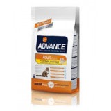 ADVANCE CAT ADULT POLLO