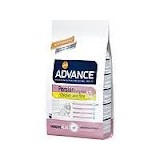 ADVANCE PERSIAN/ Long Hair