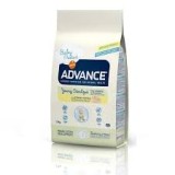 Advance Young Sterilized