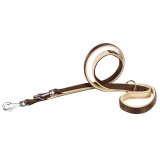 Correa Daytona GA 20/200 Ferplast