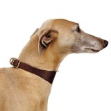  Vip Cw Collar Ferplast