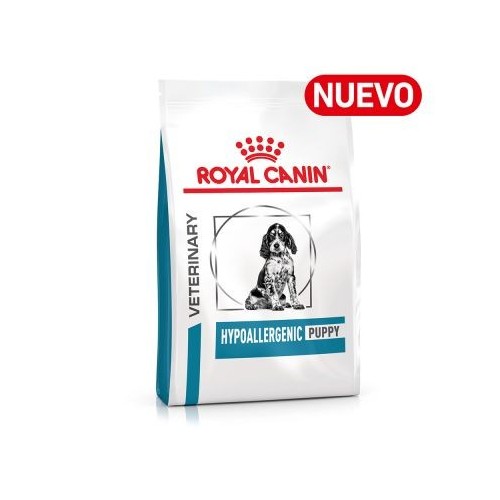 Hypoallergenic Puppy