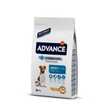 ADVANCE MINI ADULT