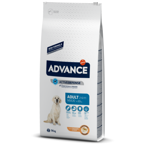 ADVANCE MAXI ADULT