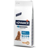 ADVANCE MEDIUM ADULT