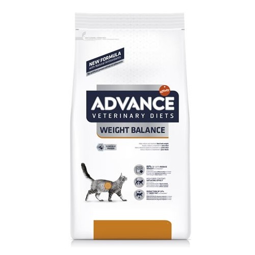 FELINE OBESITY MANAGEMENT 