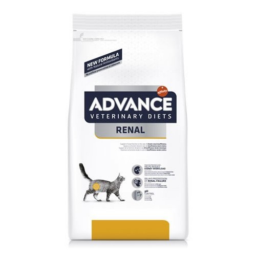 FELINE RENAL FAILURE