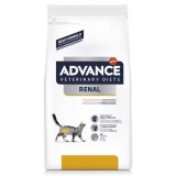 FELINE RENAL FAILURE