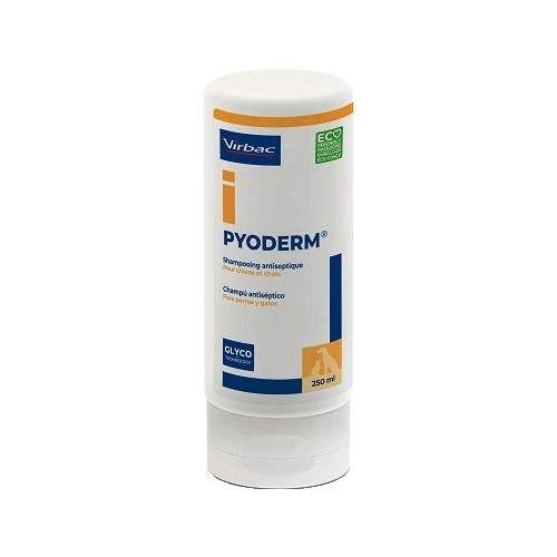 Pyoderm Champu