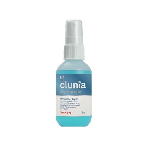 CLUNIA EASY DENT Spray 1 env. x 60 ml