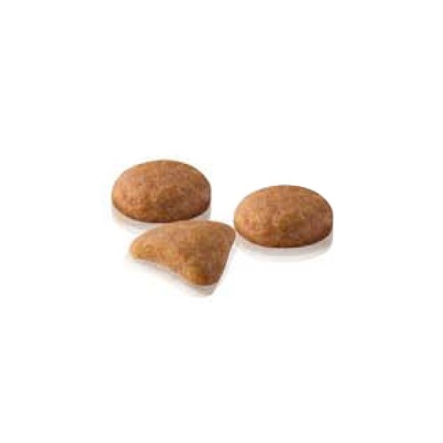 EXIGENT SAVOUR SENSATION