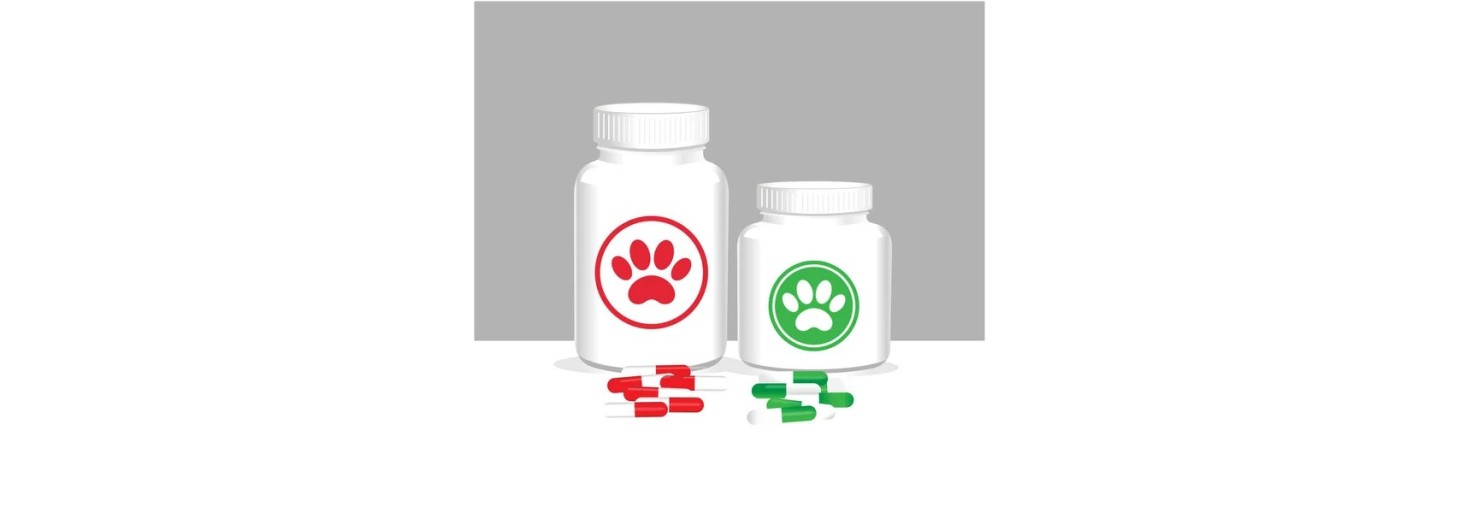 Suplementos Alimentares