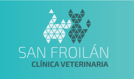 logo veterinaria san froilan